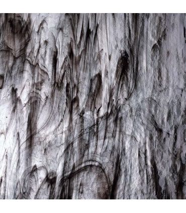 VERRE VITRAIL ET FUSING BULLSEYE  - NOIR SUR CLAIR TRANSLUCIDE - 1105-30F