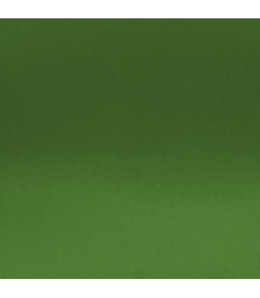 Verre WISSMACH - WS 319 DR - vert jaunâtre foncé