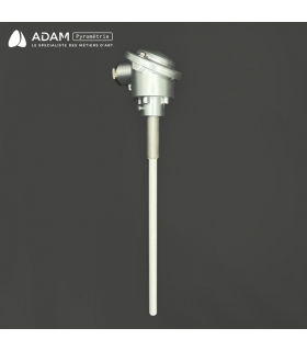 Canne pyrométrique type S verrerie