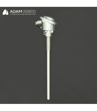 Canne pyrométrique type S verrerie