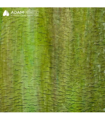 Verre WISSMACH - WS264LLG