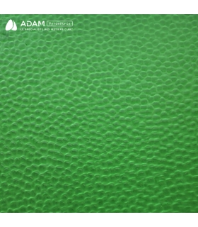 Verre WISSMACH - WS286HAM