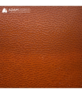 Verre WISSMACH - WS310HAM