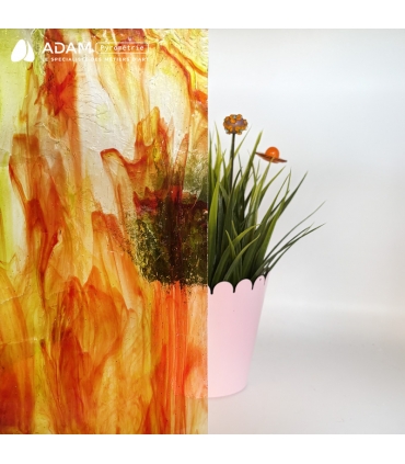 Verre Wissmach - WS 25LL - Vue de la transparence