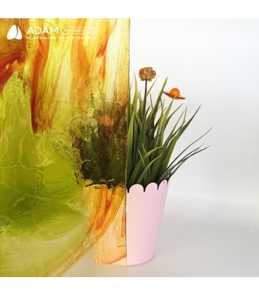 Verre Wissmach - WS 25LL - Vue de la transparence