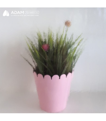 Verre WISSMACH - WS96-01-5