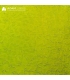 Verre WISSMACH - WS1146FLO