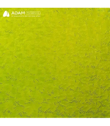 Verre WISSMACH - WS1146FLO