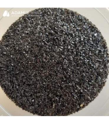 Frittes - COE 96 - Noires