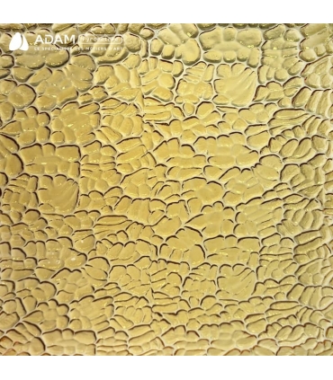 Verre WISSMACH - WS 34FIG