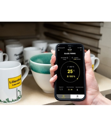 Four NABERTHERM - Visuel application