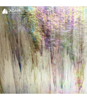 Feuille de verre WISSMACH - WSI 96-25