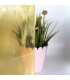 Verre WISSMACH - WS96-54 - Vue de l'opacité
