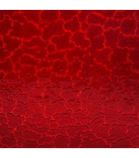 Verre WISSMACH - WS 18 FIG