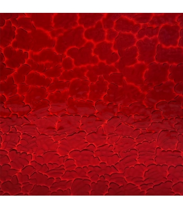 Verre WISSMACH - WS 18 FIG