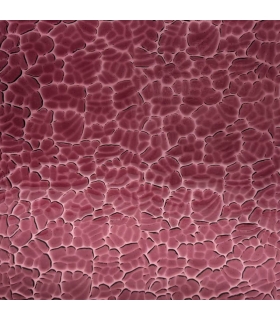 Verre WISSMACH - WS 134 FIG