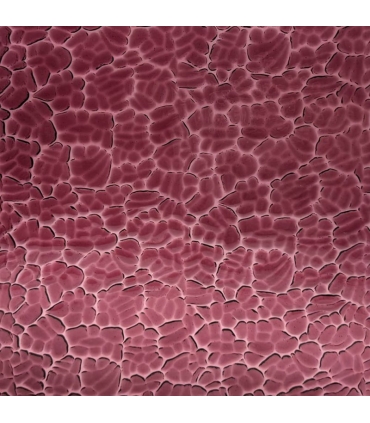 Verre WISSMACH - WS 134 FIG