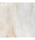Verre Wissmach - WSWO567