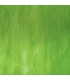 VERT MOYEN - WS 191LL