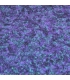 VERRE GIVRÉ LAQUÉ VIOLET ET BLEU - VG460