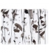Verre Bullseye - 4136-00F
