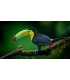 test Laure