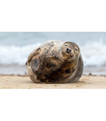 test Laure