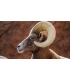 test Laure