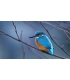 test Laure
