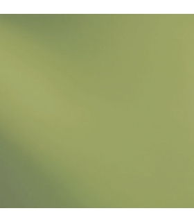 VERT OLIVE TRANSLUCIDE - 528-2SF
