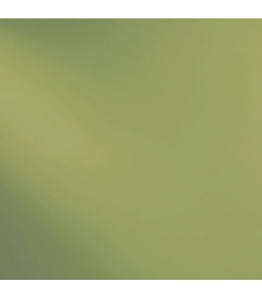 VERT OLIVE TRANSLUCIDE - 528-2SF