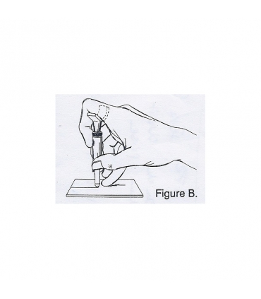 Figure B