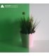 VERT MOYEN - WS 286DR VERT MOYEN - WS 286DR