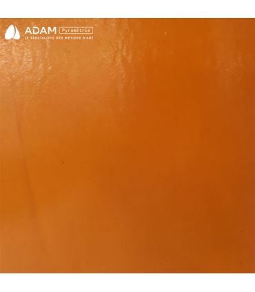 Verre WISSMACH - WS 310DR