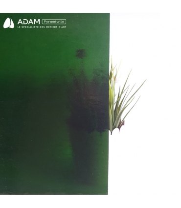 VERT FONCÉ - WS 320DR