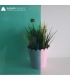 VERT D'EAU - WS 65DR VERT D'EAU - WS 65DR