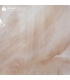 CHAMPAGNE ET BLANC - WO569