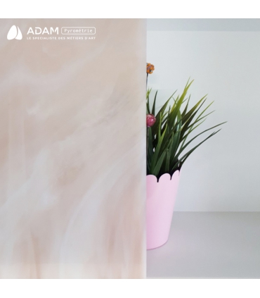 CHAMPAGNE ET BLANC - WS WO569