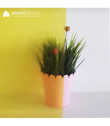 JAUNE SELENIUM - WS 31DR