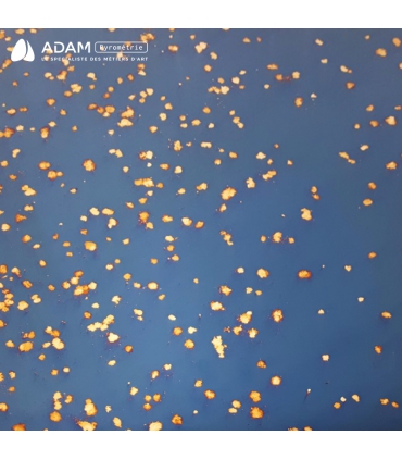 MIROIR POLVERE BLEU ET MOTIFS OR