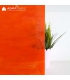 ORANGE ET BLANC - YINA 358 ORANGE ET BLANC - YINA 358