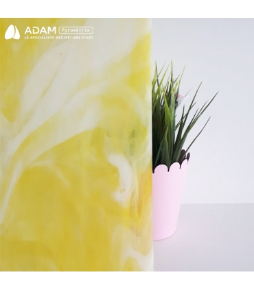 JAUNE ET BLANC - WS WO2