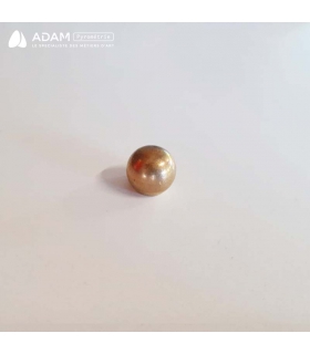 Graine de lyre - boule