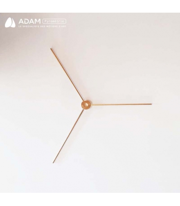 Spider 3 branches