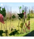 VERRE BULLSEYE - CONFETTIS ROSE ET VERT PAILLETTÉ SUR CLAIR - 4114-00F