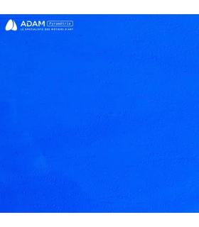 BLEU MOYEN TRANSLUCIDE - WS 57DR